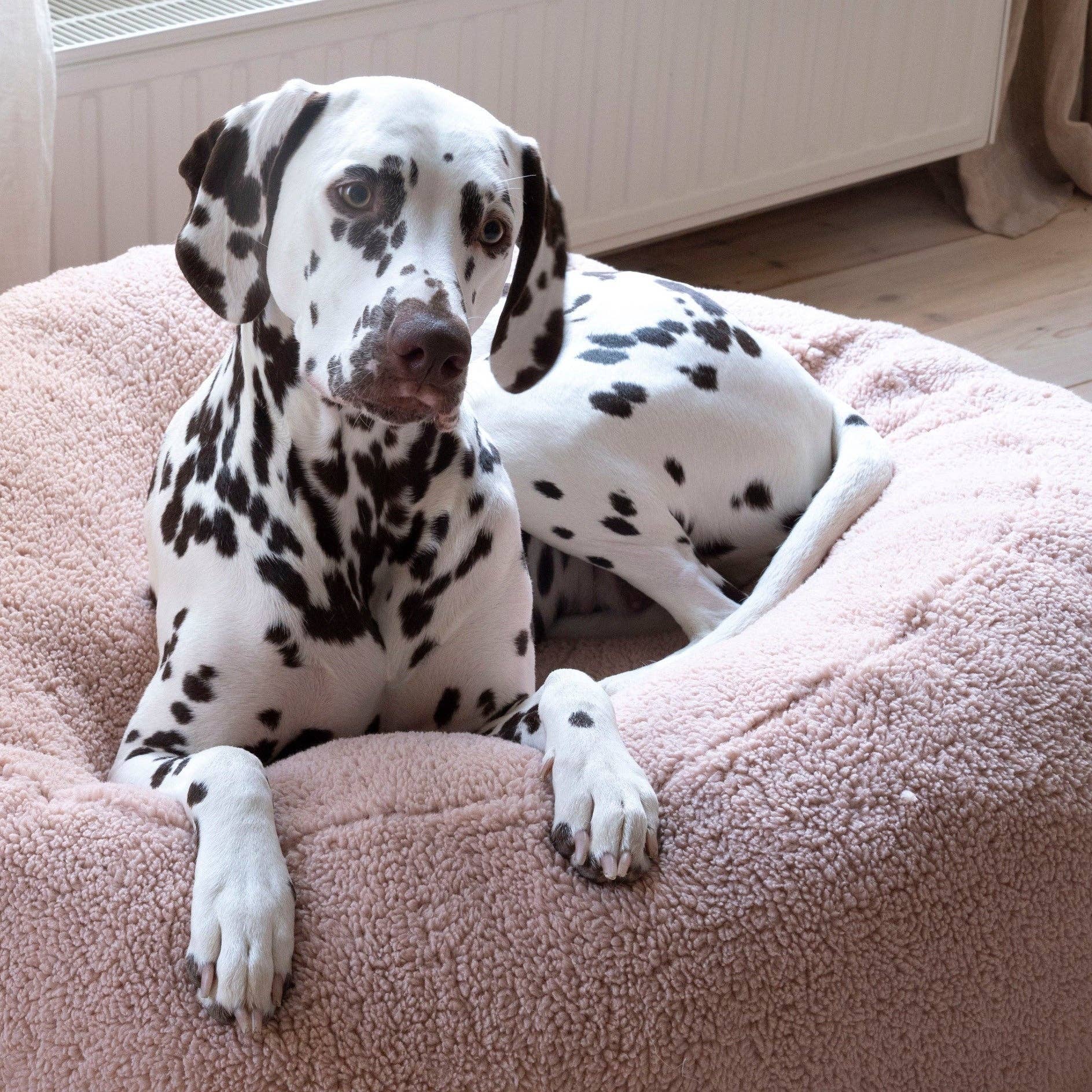 Trimmi - Wholesale Pet Bed - Dog - Poef teddy pink1