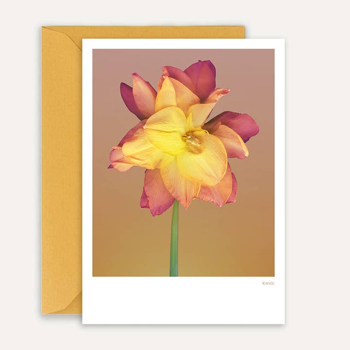 Dusk - Golden Ducat 01, carte de vœux pour la vente par Rijkvol