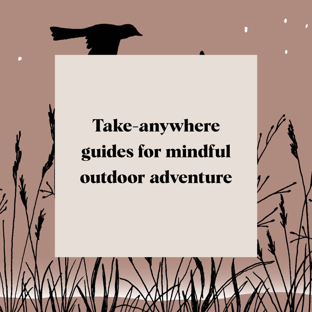 Chronicle Books - Wholesale Nature & Outdoors Book - Pocket Nature: Bird-Watching8