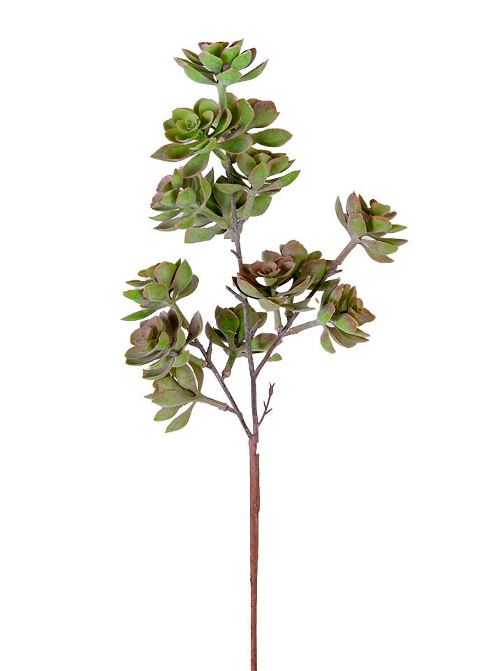 27'' SUCCULENT STEM for wholesale by American Best
