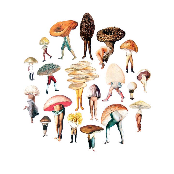 Morphed Multitude print for wholesale by Nature Morph