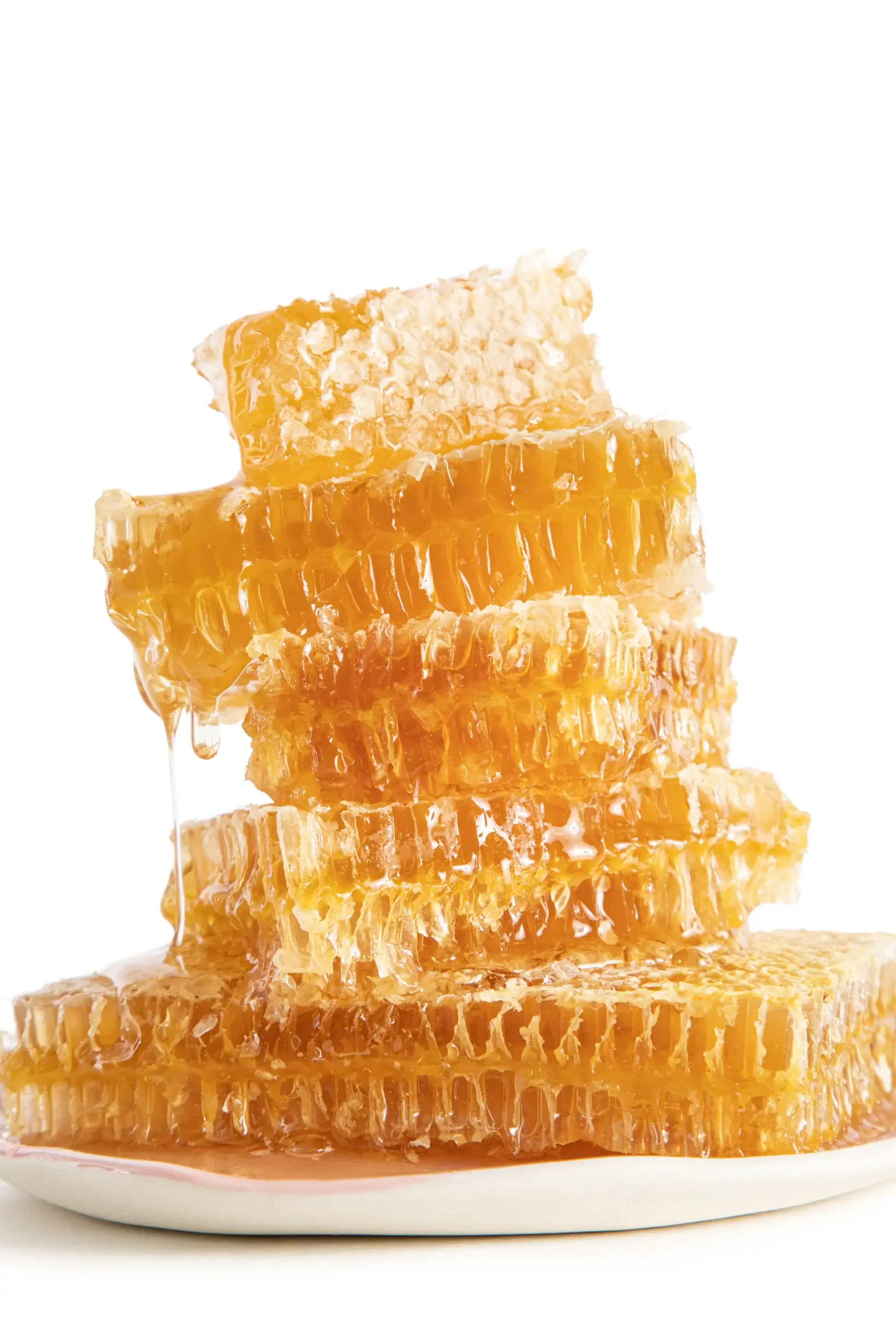 Uncommon Bees - Wholesale Honey - Raw and Unfiltered Cut Honeycomb2