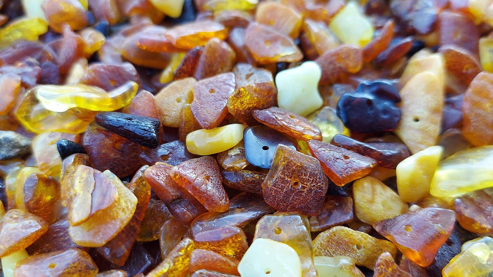 Amber Auksas - Wholesale Beads - Genuine Mixed Baltic Amber Loose Beads for DIY ♥️GIA5