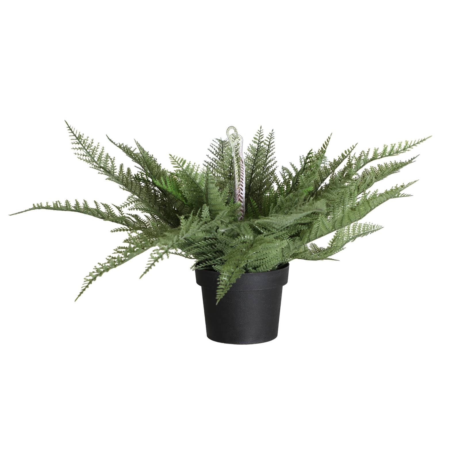B&B - Vente Pot - Plante Herbe Prise En Plastique Vert 55X55X45cm0
