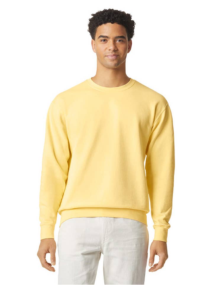 Boho Bloom Emporium - Wholesale Sweatshirt – Unisex - Comfort Colors Unisex Lightweight Cotton Crewneck Sweatshirt9