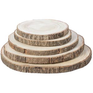 Natural Wood Slices - 15