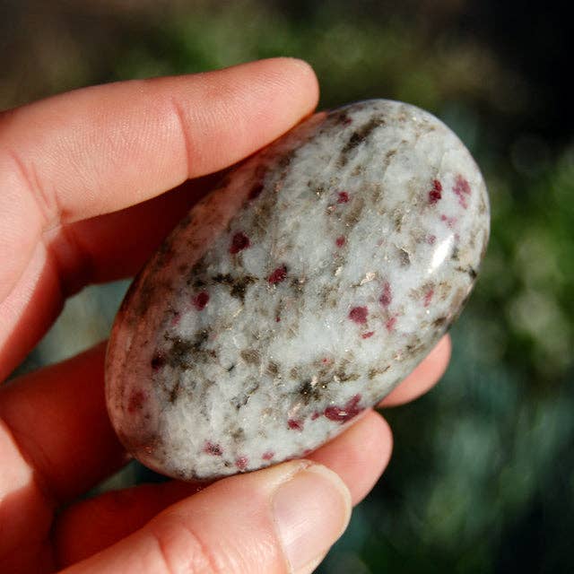 Caspar Curiosities - Wholesale Spiritual Stone/Crystal - ONE XL Pink Tourmaline Rubellite Crystal Palm Stone, Madagascar