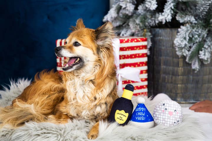 Pet Palette Distribution - Wholesale Pet Toy - Dog - Pearhead Happy Chew Year Set6