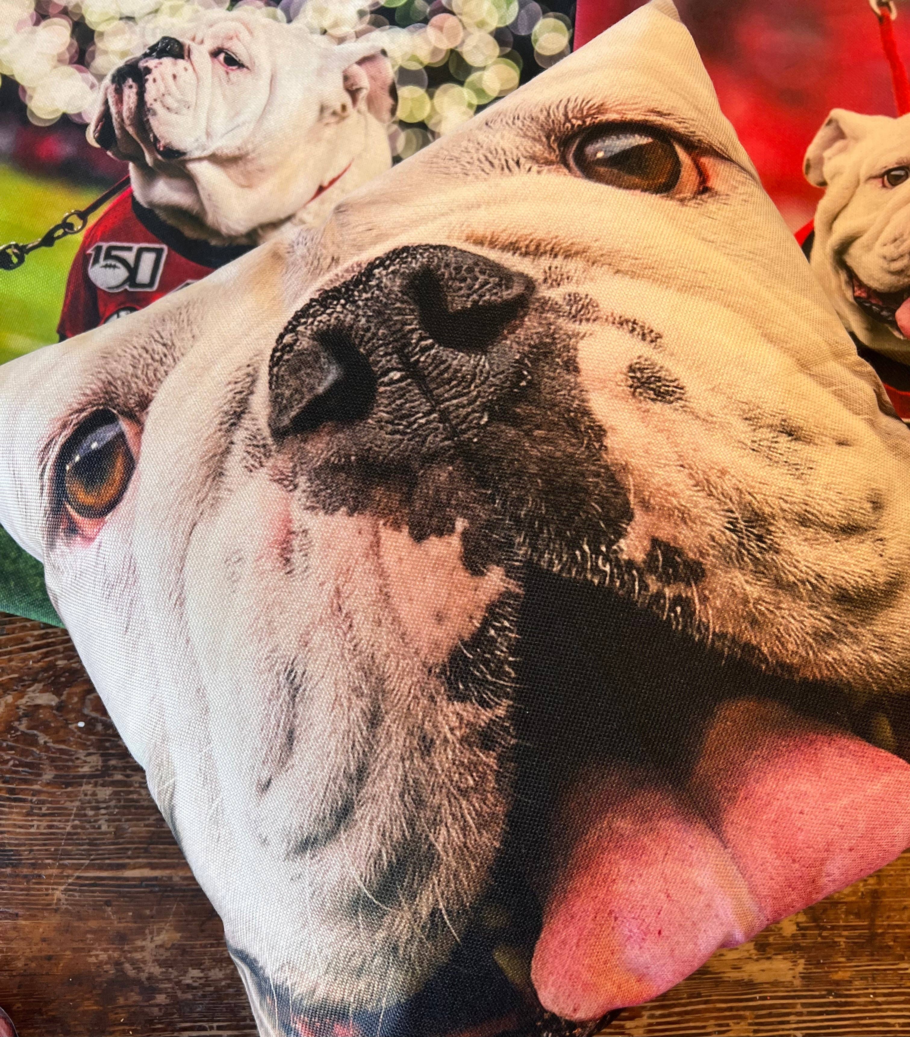 Wright Photo - Wholesale Throw/Decorative Pillow - Uga X Mascot Closeup 18x18" Throw Pillow - Indoor/Outdoor - Georgia Bulldogs Decor & Gifts2