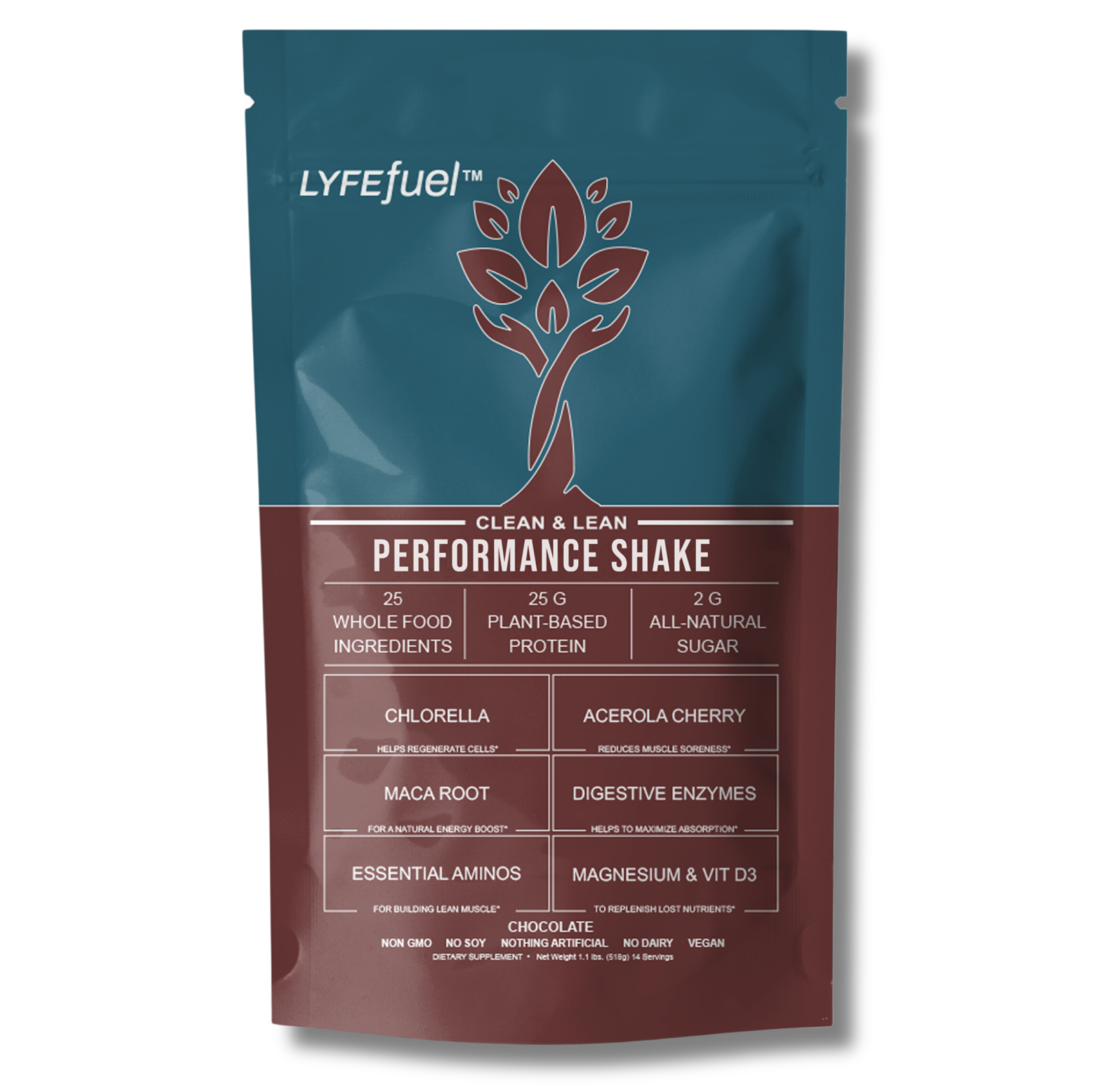 LyfeFuel – Großhandel Protein-/Superfood-Pulver – Leistungs-Shake1