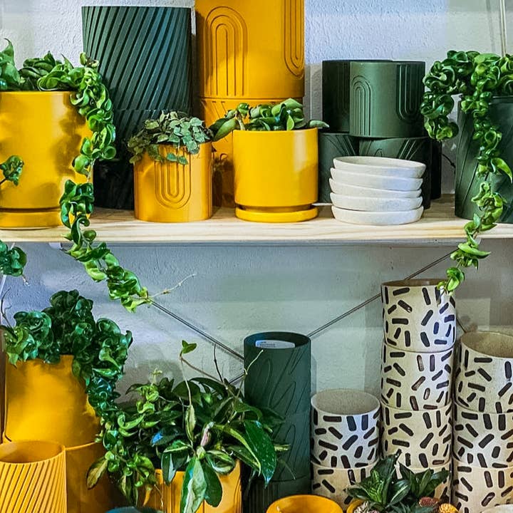 Rosebud Homegoods - Wholesale Plant Pot - Monstera Leaf Planter, Bohemian House Planters, 3D Printed P13