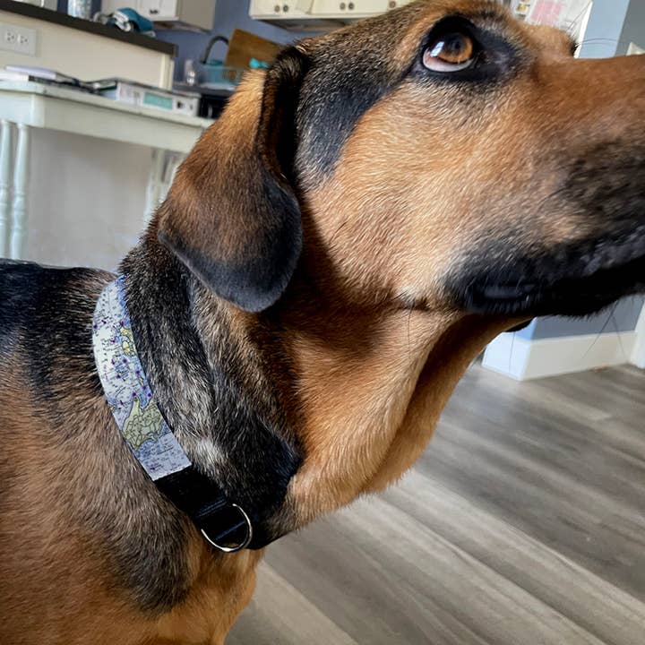 Maritime Tribes LLC - Wholesale Pet Collar - Dog - Dog Collar (custom artwork or your local map)3