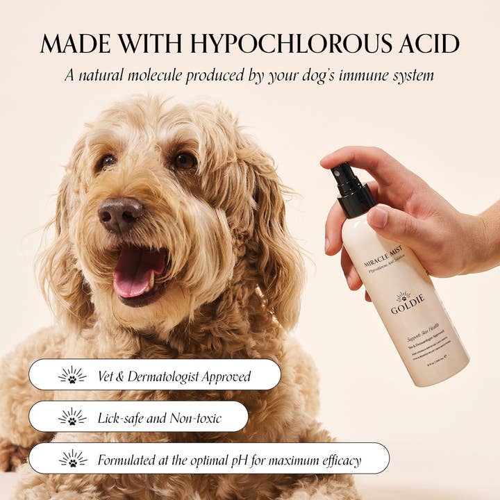 Goldie - Wholesale Pet Spray - Dog - Miracle Mist1