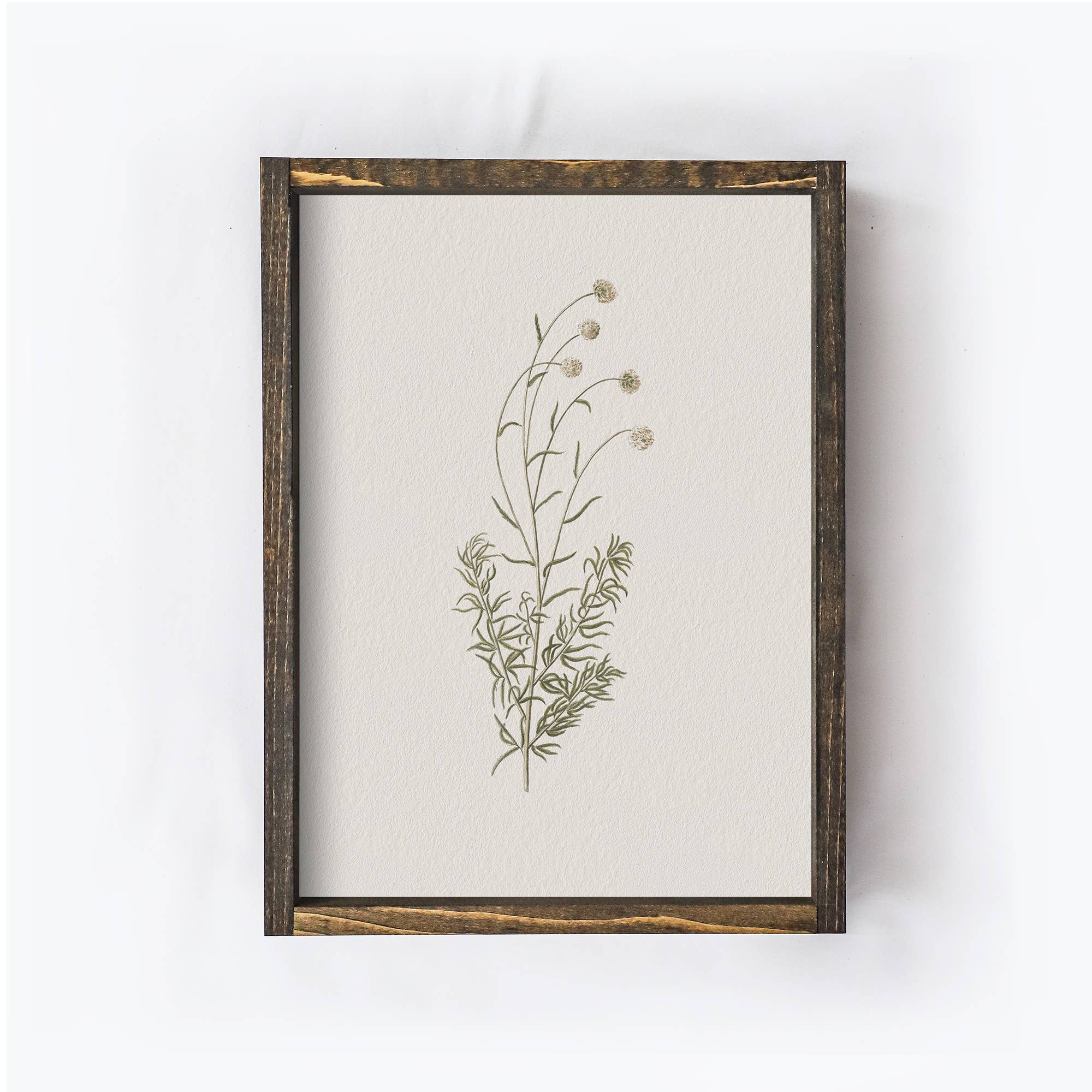 Hoekstra Decor - Wholesale Art Print - Floral Print Framed |Botanical Flower Print A1060