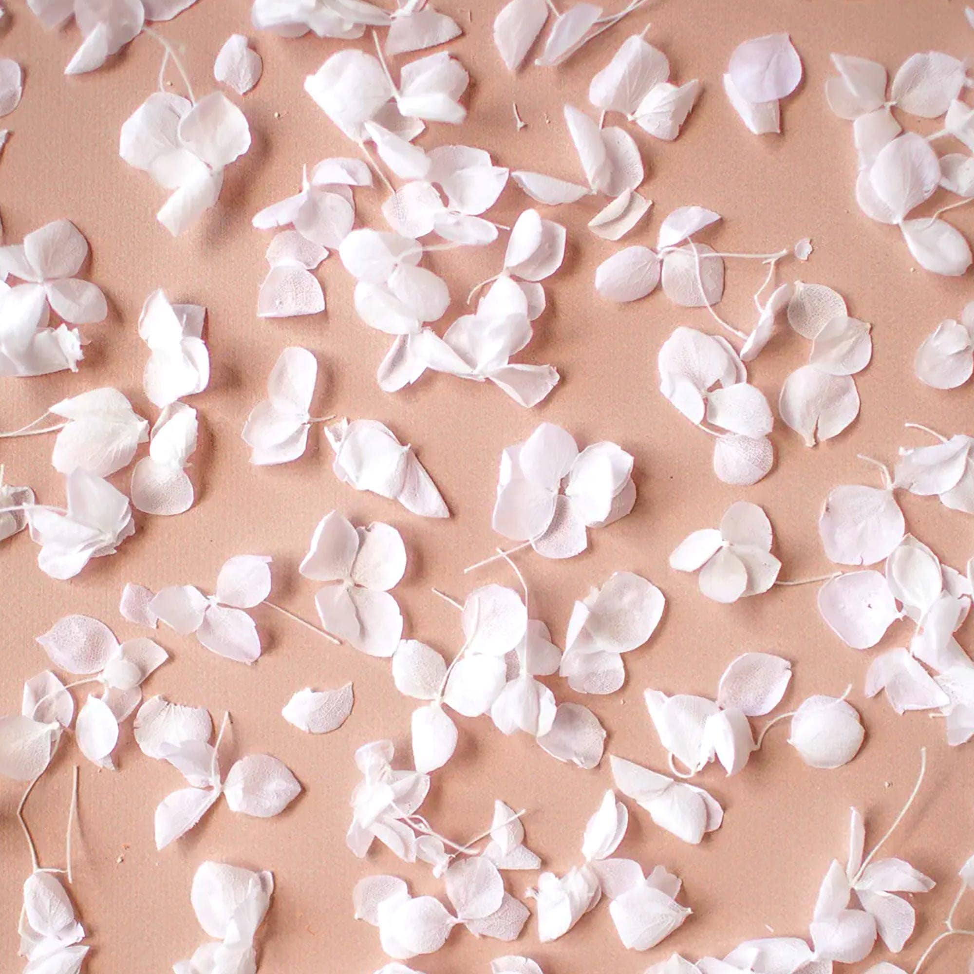 The Whole Bride – wholesale Konfetti – Hortensiabladbuntar (kronblad + kottar)2