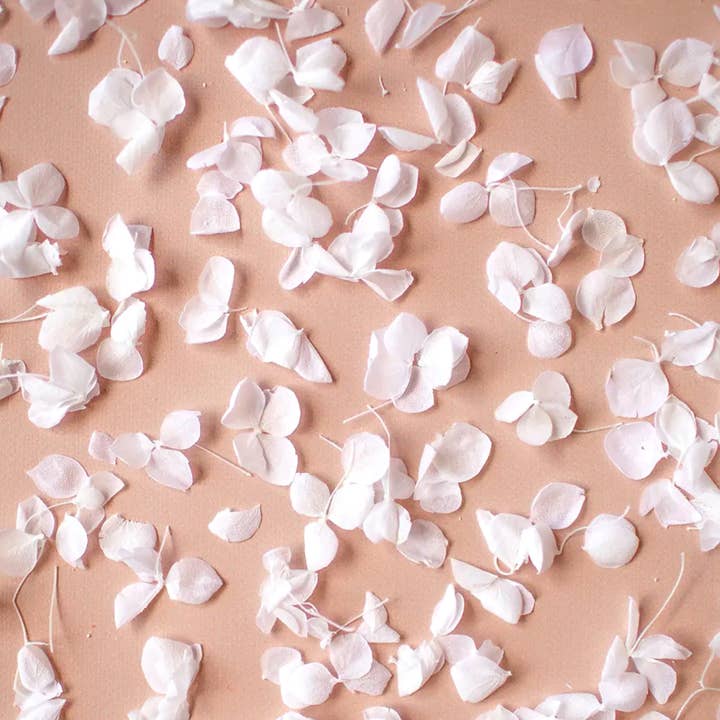 The Whole Bride - Wholesale Confetti - Hydrangea Petal Bundles (petals + cones)2