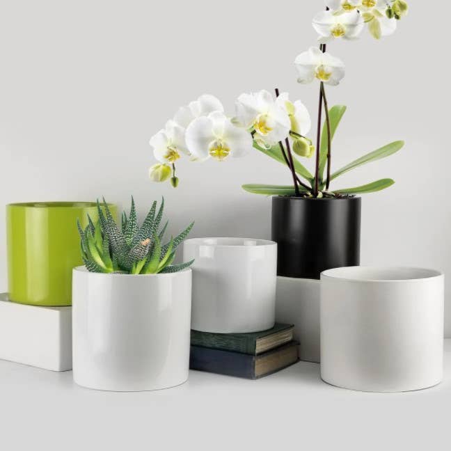 Galore Home - Wholesale Plant Pot - 7" Top | Ceramic Plant Pots