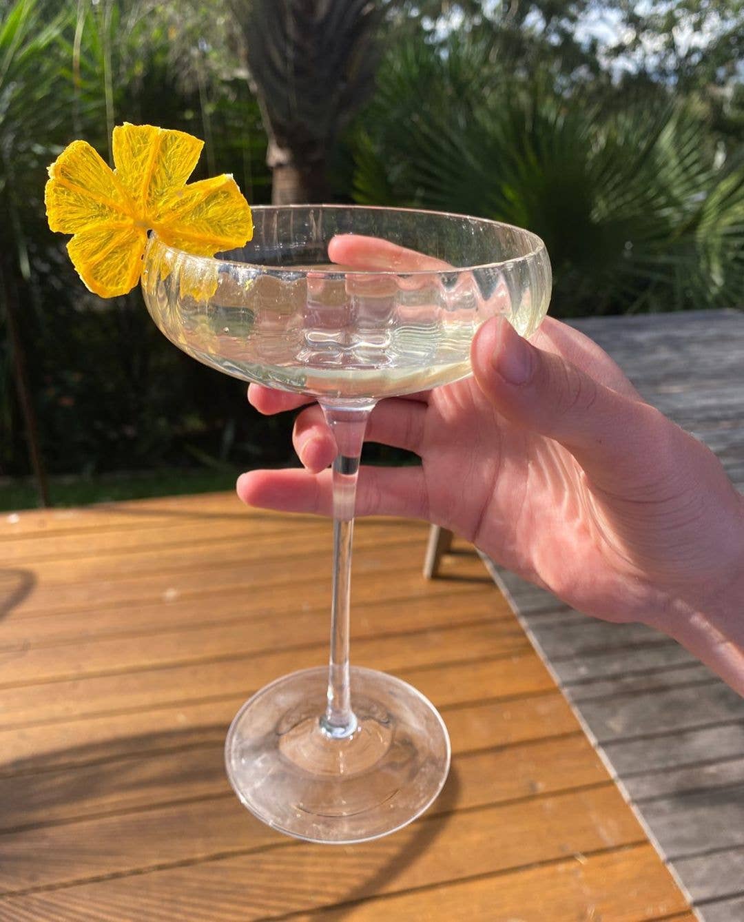 Cocktail Candy - Vente Fruits secs/déshydratés - Ananas déshydratés9