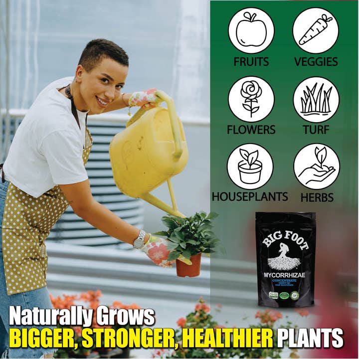 Big Foot Microbes - Wholesale Fertilizer - Big foot Water-in concentrate for established plants - 8 oz 1