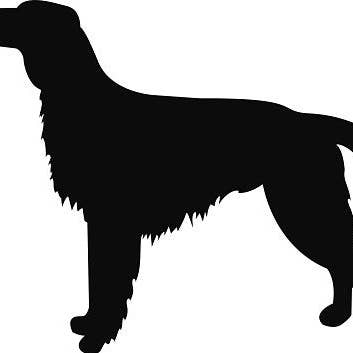 Irish Setter - High Quality Stencil 10 mil - Reusable Patterns for wholesale by GoStencil