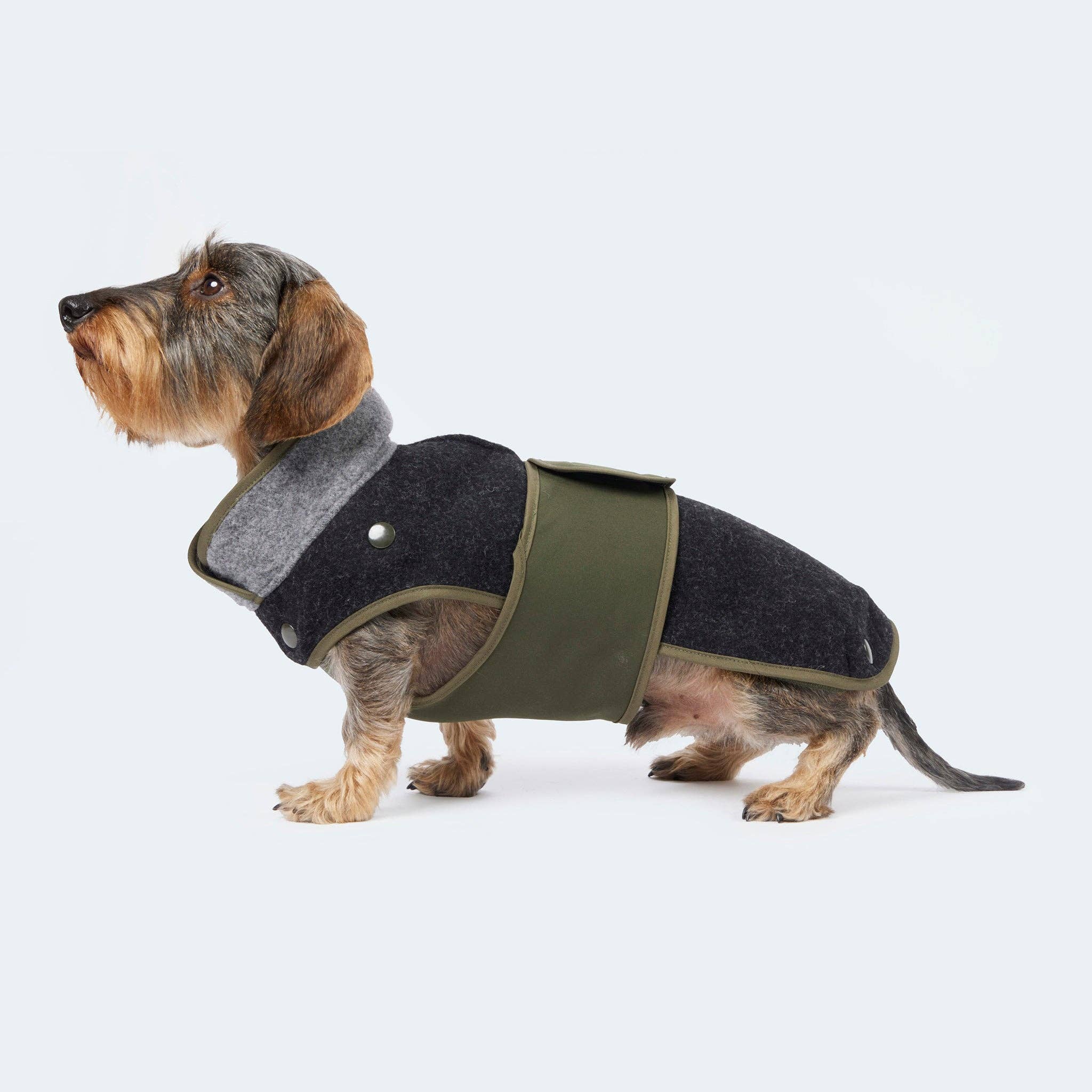​​Leopold's Finest for dogs - Wholesale Pet Coat - Dog - Loden coat with removable fleece for dachshunds and small dogs13