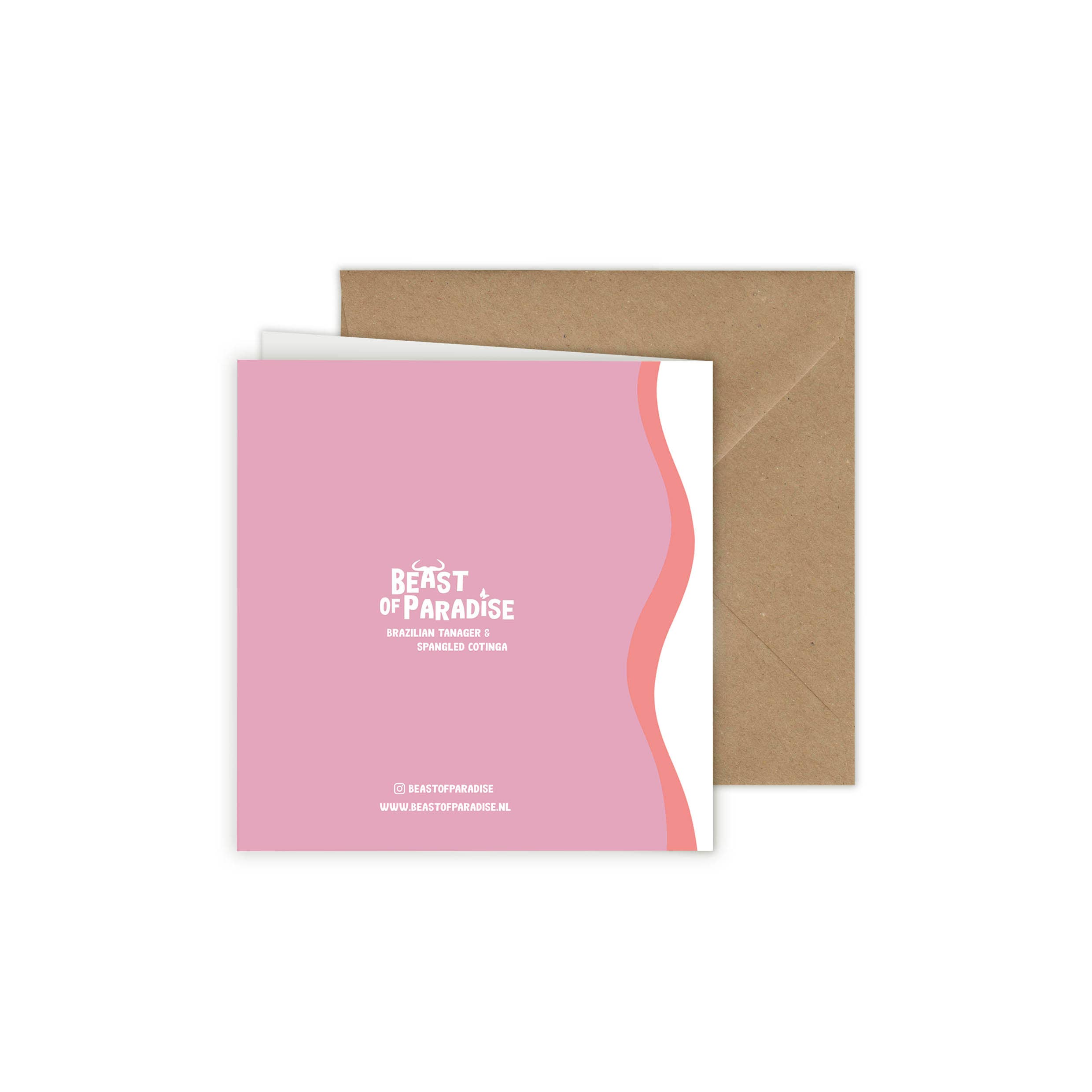 Beast of Paradise - Vendita all'ingrosso Biglietti di auguri - Biglietti di Auguri con Uccelli, Set di 10 Biglietti, Biglietti di Auguri con Animali19