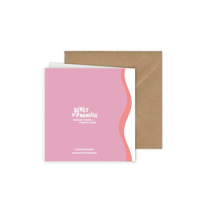 Beast of Paradise - Vendita all'ingrosso Biglietti di auguri - Biglietti di Auguri con Uccelli, Set di 10 Biglietti, Biglietti di Auguri con Animali19