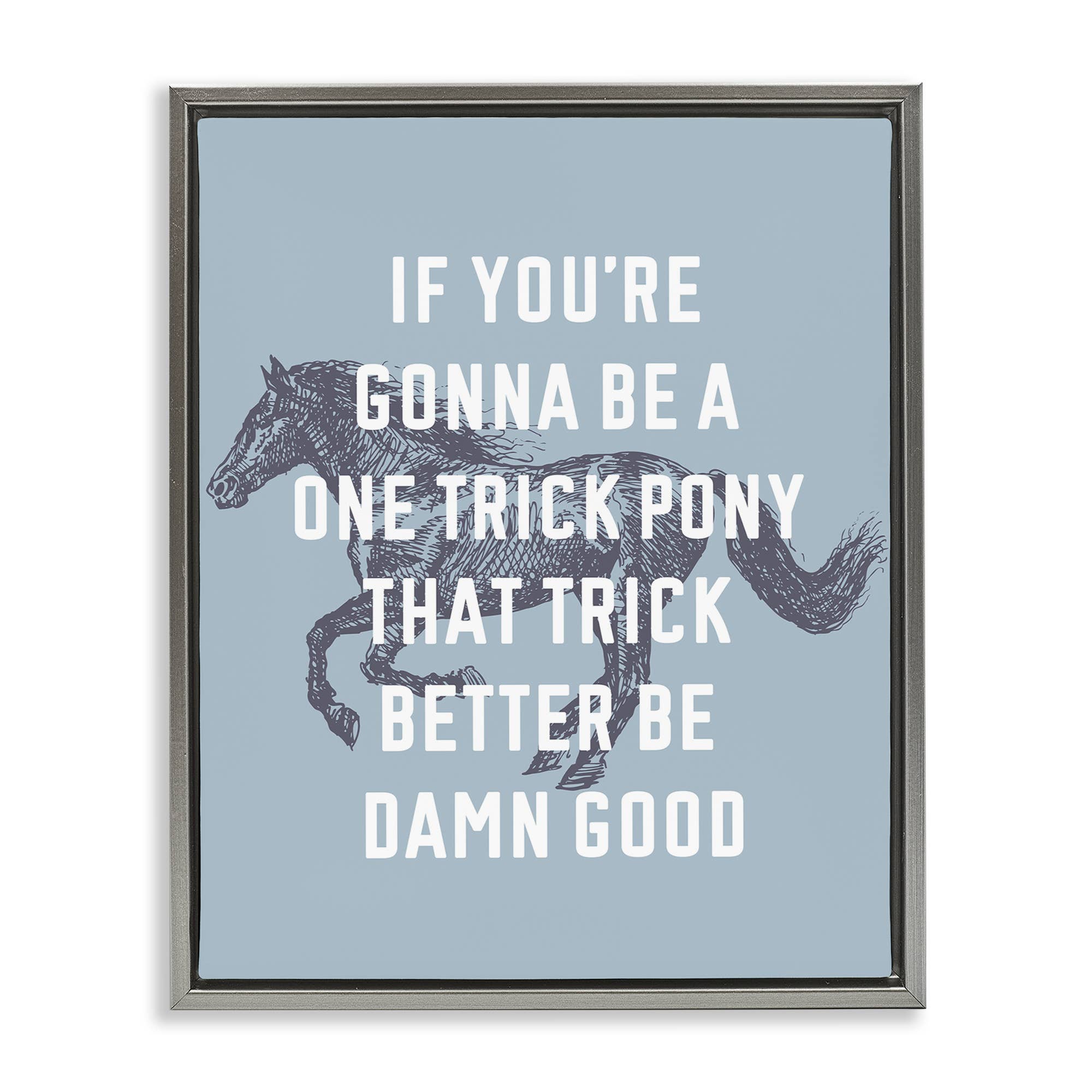 Stupell Industries - Wholesale Wall Decor - Kids & Baby - One Trick Pony Phrase Floater Framed Art20