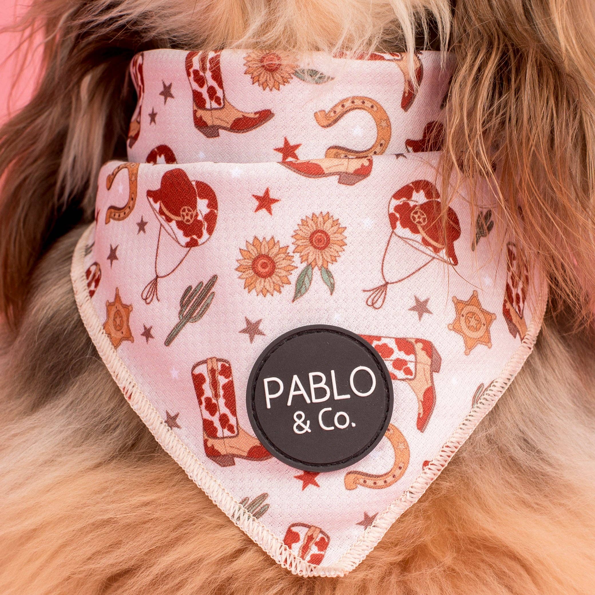 Pablo & Co. Boutique – Bandana - Cão por atacado – Olá: Bandana para Cão2