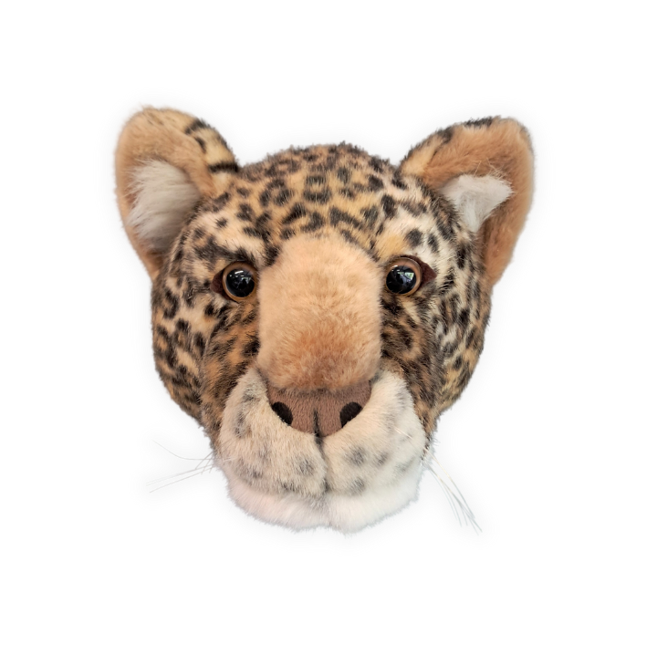 WILD & SOFT – Großhandel 3D-Wandkunst – Charlie der Leopard: Wanddekoration – Mittlerer Kopf2