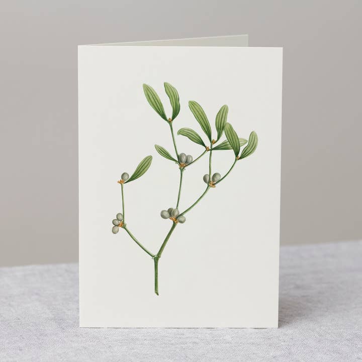 Mistelten lykønskningskort, mos grøn kuvert, håndlavet for engroshandel hos The Zoologist Archives