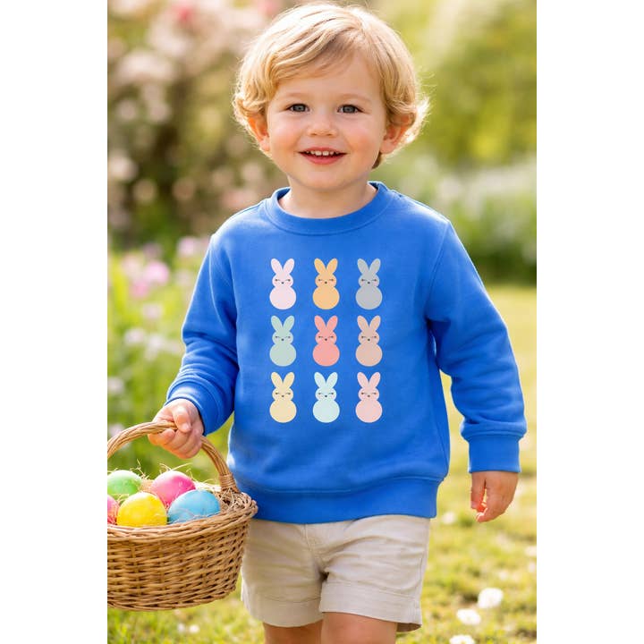 Sweat-shirt lapin de Pâques pour enfants, pull de printemps pour tout-petits et jeunes pour la vente par Holland Ave Clothing
