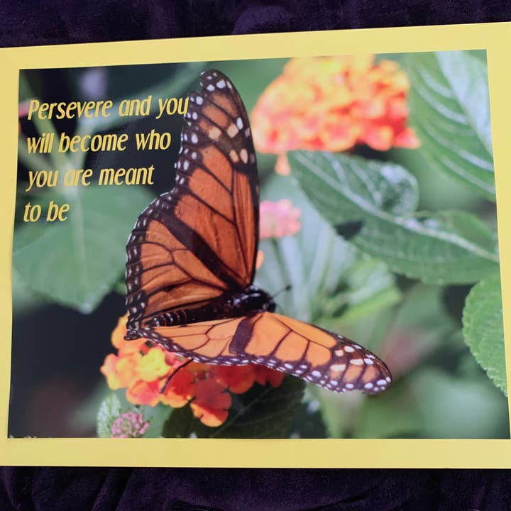 Persevere-open wing butterfly in a yellow frame wall print for wholesale by Analogy Designs