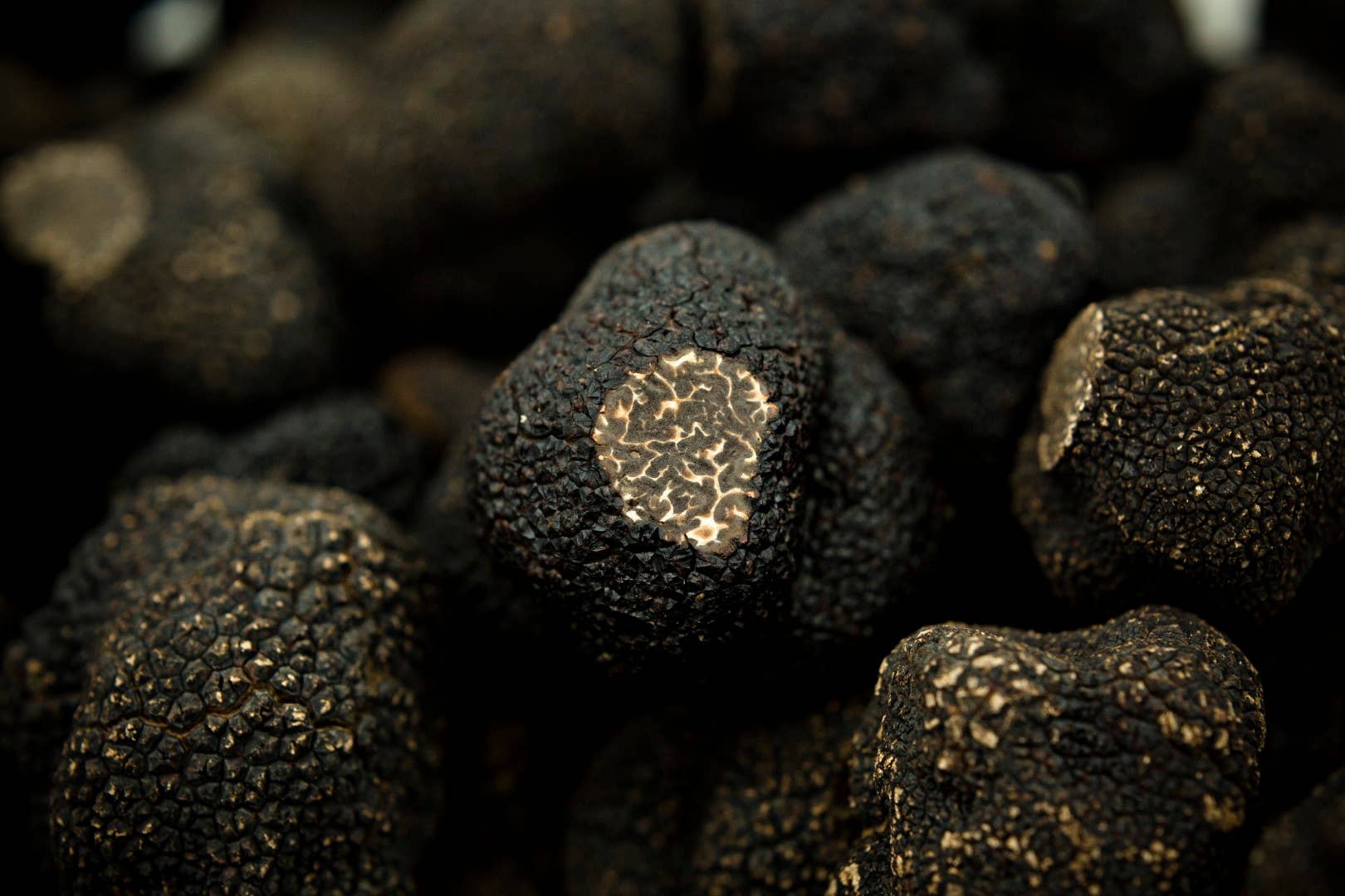 VALTREBBIA TARTUFI - Vendita all'ingrosso Condimenti per insalata - TUBER MELANOSPORUM VITT -Nero Pregiato- PREZZO SU RICHIESTA1