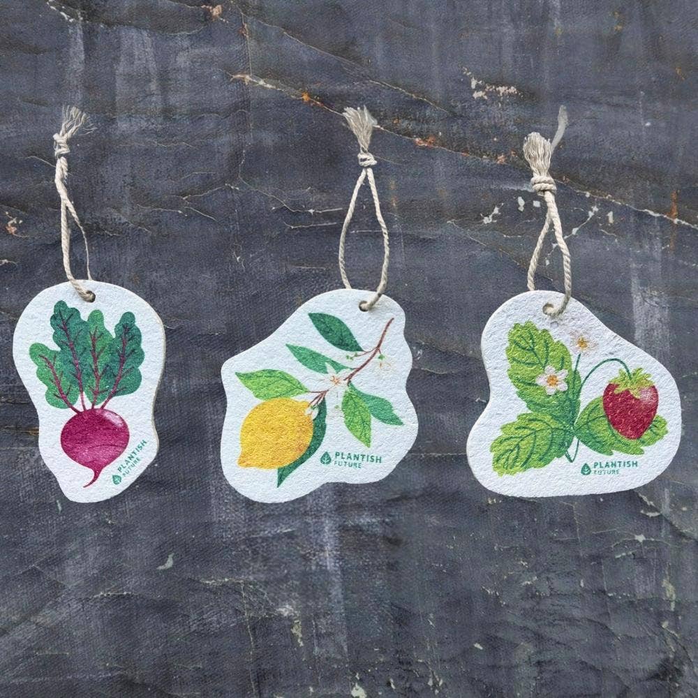 Plantish - Wholesale Cleaning Sponge - Strawberry Patch - Pop Up Sponge1