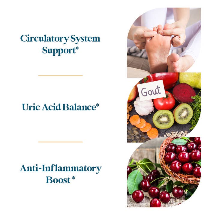 Pattern Wellness - Wholesale Oral Supplement/Vitamin - Gout Complex