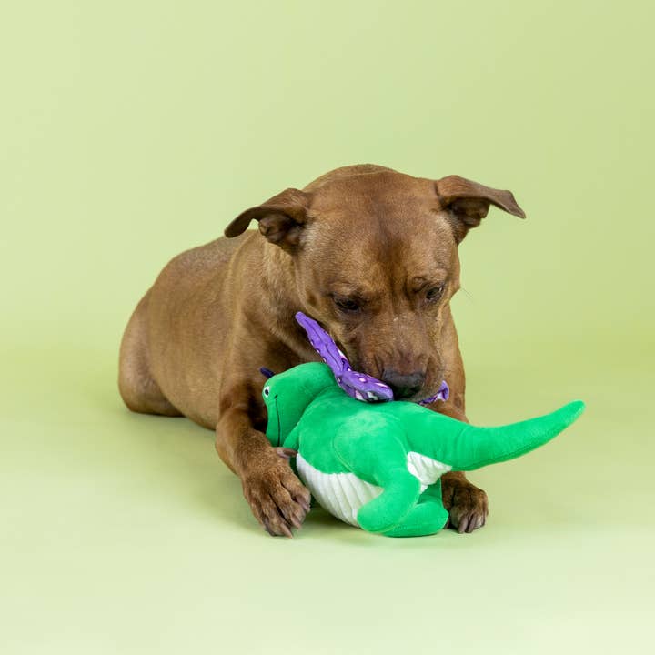 Petshop by Fringe Studio - Wholesale Pet Plush Toy - Dog - FLUTTER REX PLUSH DOG TOY