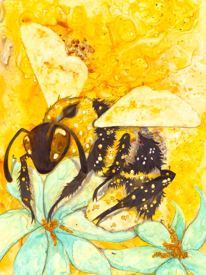 Misschien (Honingbij) voor wholesale door Freckled Illustrations