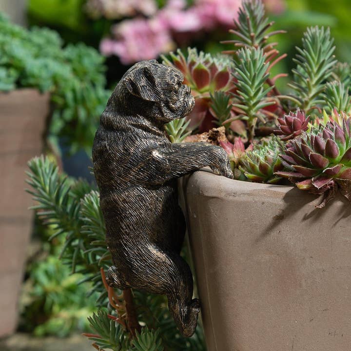 Pug Plant Pot Hanger for wholesale by Jardinopia UK