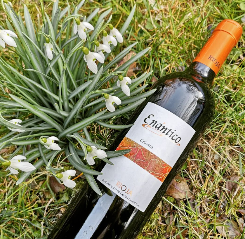 Viñedos y Bodegas Lyng – Vinho tinto por atacado – Vinho tinto Crianza D.O.Ca. Rioja Enántico1