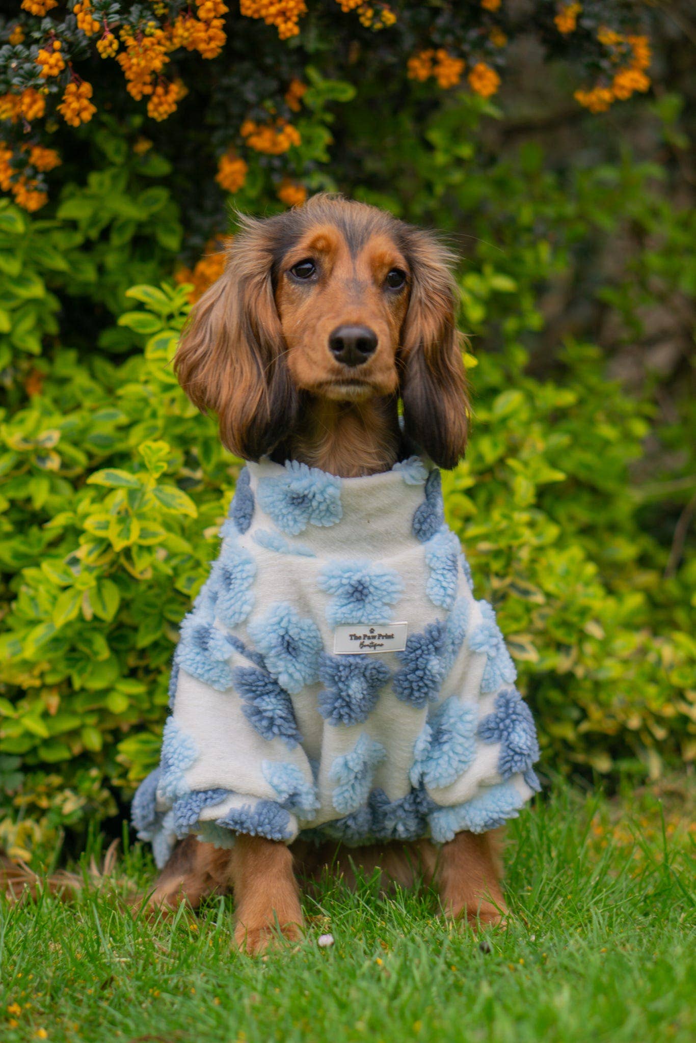 The Paw Print Boutique - Wholesale Pet jumper – Dog - The Bluebell Blue Floral Fleece6