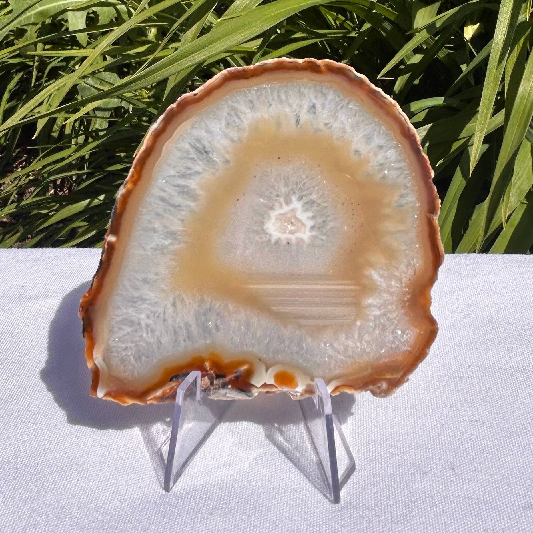 Quasar Gems USA - Wholesale Spiritual Stone/Crystal - Agate Slices Natural3