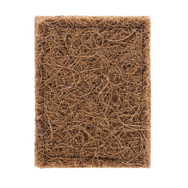 Essence of Life Organics – Engroshandel Rengøringssvamp – 100 % plantebaseret kraftig skuresvamp5