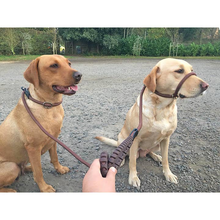 Miro & Makauri - Wholesale Pet Leash - Dog - Miro & Makauri "REGULAR GRIP" - Slip Dog Lead with Figure
