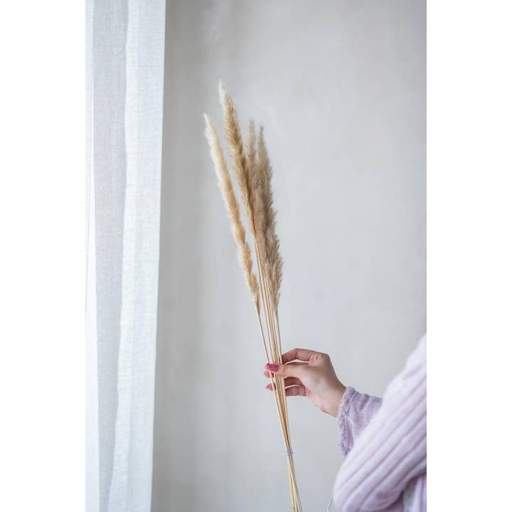 A&B Home Group Inc. - Wholesale Artificial plant - 8x1.2x27.5"H 6pc/Bag Taupe Pampas Grass Cluster1