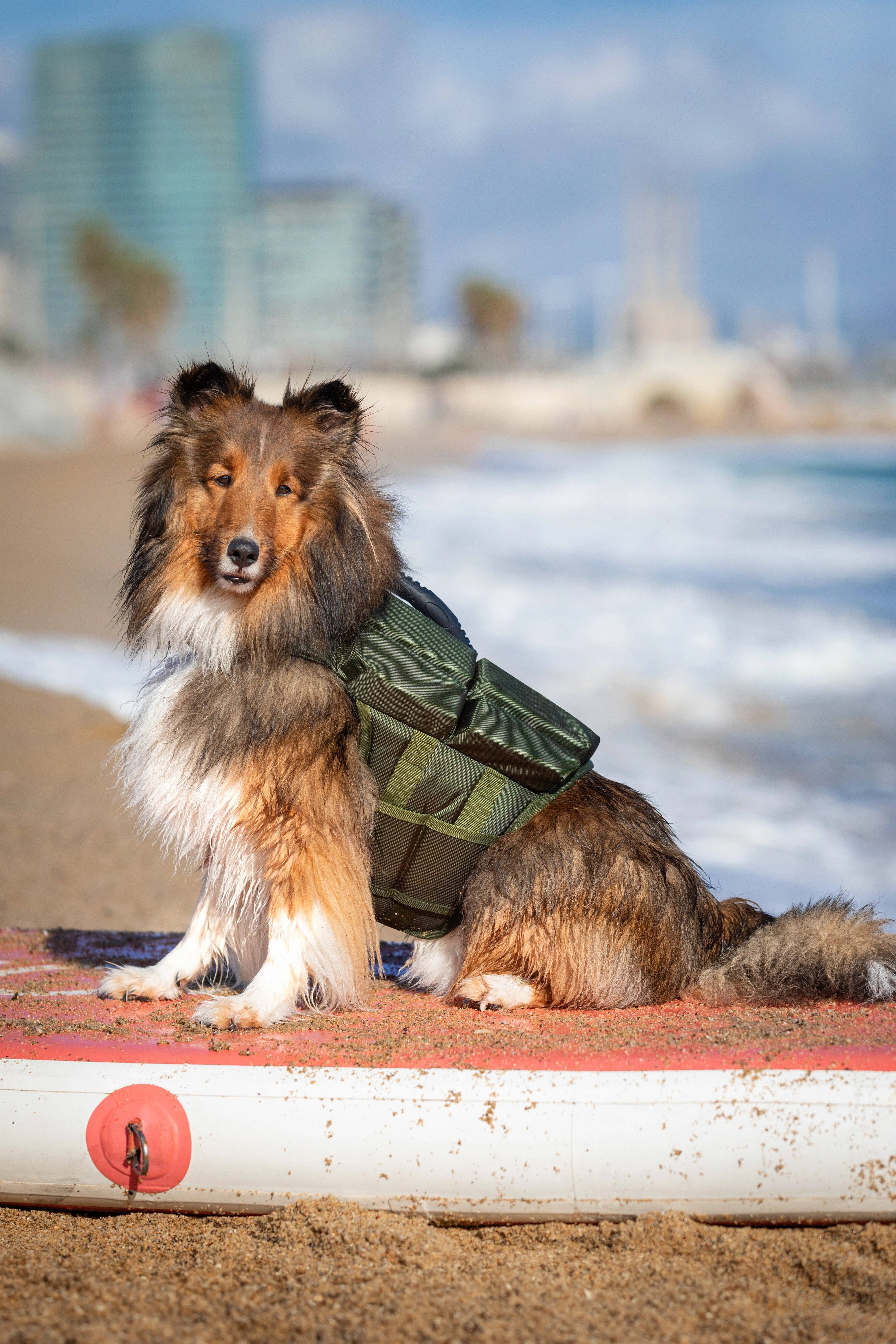 NOAH AND PAW LLC - Wholesale Pet Jacket - Dog - Human Standards Dog Lifejacket Design with 4x Foam Support for Max Floating - Green12