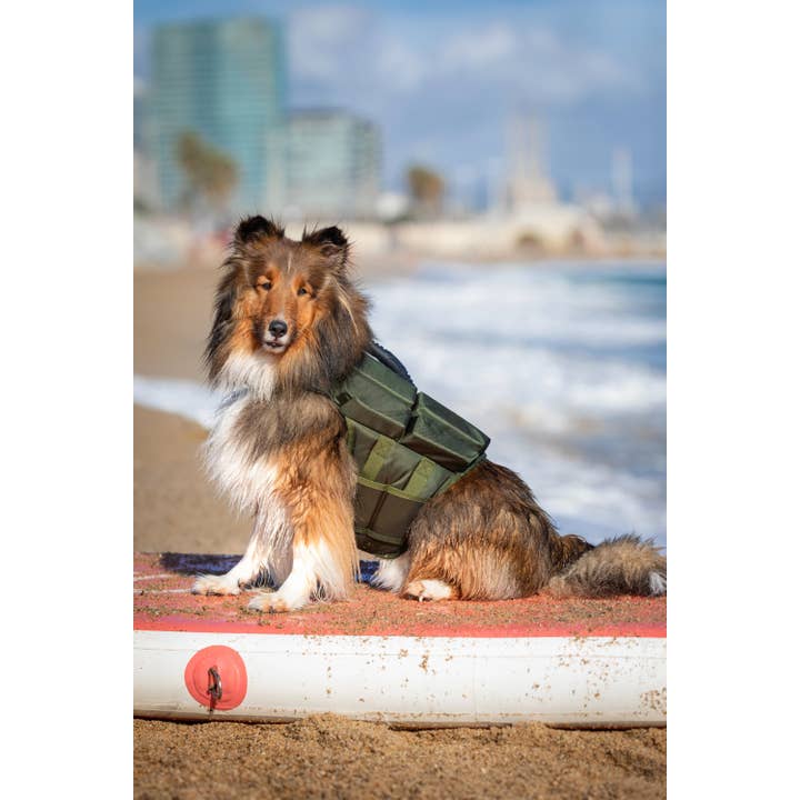 NOAH AND PAW LLC - Vente Veste – chien - Gilet de sauvetage pour chien NOAH AND PAW avec 4 mousses flottantes - Vert12