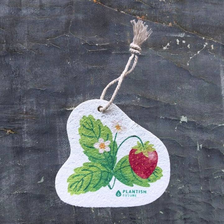 Plantish - Wholesale Cleaning Sponge - Strawberry Patch - Pop Up Sponge0