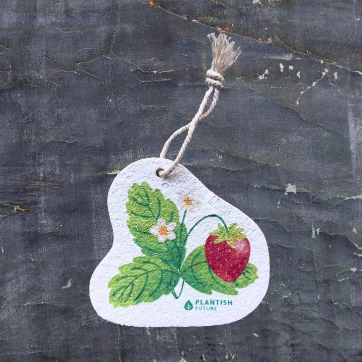 Plantish - Wholesale Cleaning Sponge - Strawberry Patch - Pop Up Sponge0