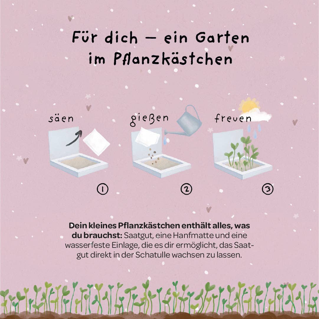 TDJ Stadtgärtner GmbH - Wholesale Plant Seeds - Planter box - Thank you for growing3